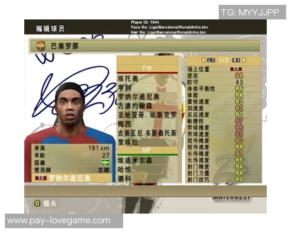 实况足球2009weyx全新玩法解析与技巧分享助你成为足球游戏高手 实况足球2009weyx全新玩法解析与技巧分享助你成为足球游戏高手