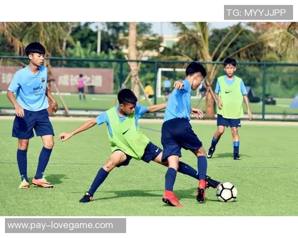 提升足球运动员速度与敏捷性的跨栏训练技巧与方法探讨